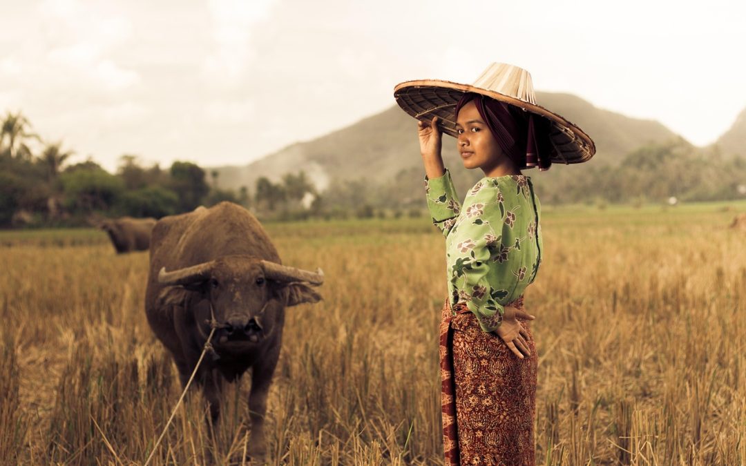 Strategi Dinas Kesehatan dalam Membangun Kesehatan Remaja